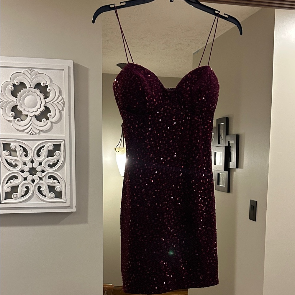 Elegant Burgundy Sequin Dress